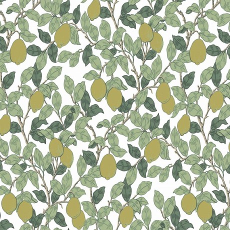 Обои QTR3002 Loymina Equator 1x10.05